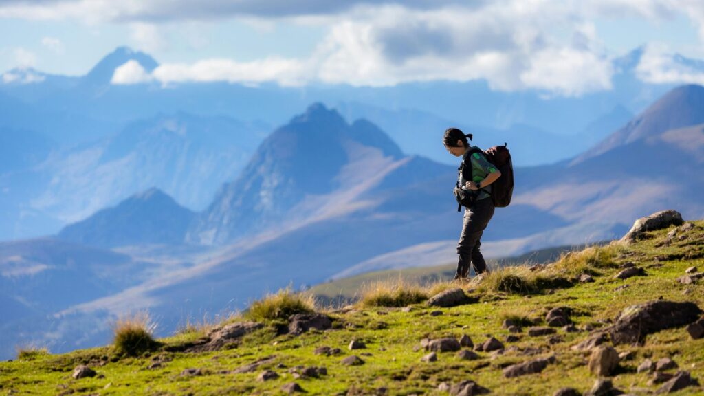 untitled design (1) untitled design (1)